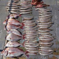 FISHING RISKY 釣果