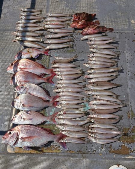 FISHING RISKY 釣果