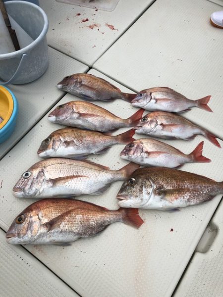 第二辰丸 釣果