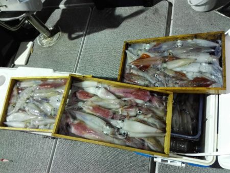 第二大福丸 釣果