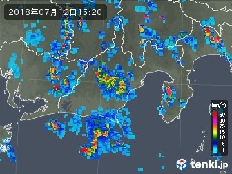 狩野川(狩野川漁業協同組合) 釣果