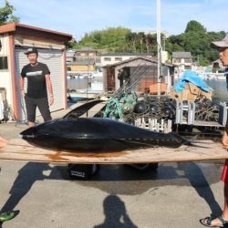 へいみつ丸 釣果