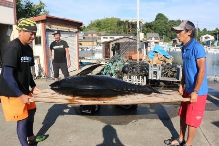 へいみつ丸 釣果