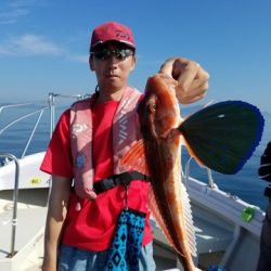 遊漁船　ニライカナイ 釣果