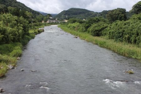 狩野川(狩野川漁業協同組合) 釣果