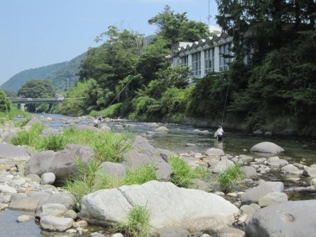 狩野川(狩野川漁業協同組合) 釣果