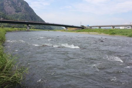 狩野川(狩野川漁業協同組合) 釣果
