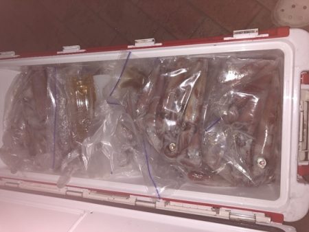 幸風（さちかぜ） 釣果