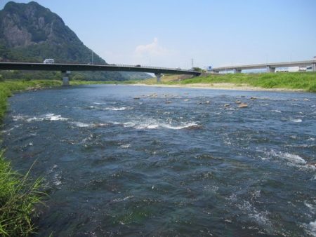 狩野川(狩野川漁業協同組合) 釣果