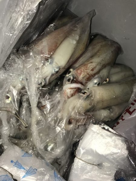 寿裕 （YOSHIHIRO） 釣果