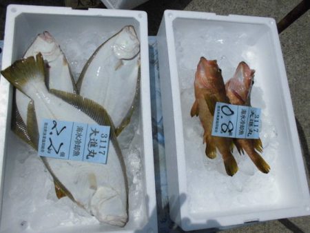 大進丸（新潟） 釣果