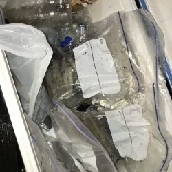 寿裕 （YOSHIHIRO） 釣果