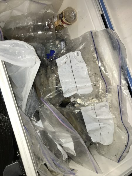 寿裕 （YOSHIHIRO） 釣果