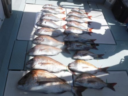 遊漁船 幸友丸 釣果