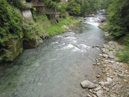 狩野川(狩野川漁業協同組合) 釣果