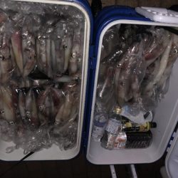 幸風（さちかぜ） 釣果