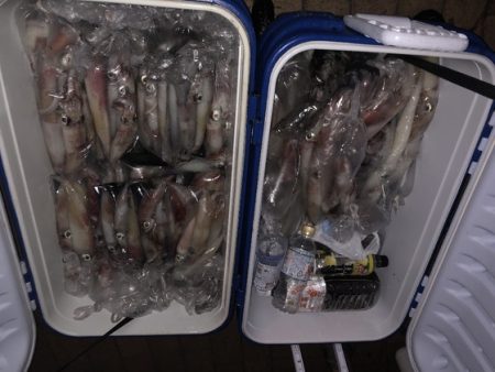 幸風（さちかぜ） 釣果