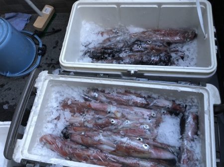 幸風（さちかぜ） 釣果