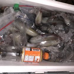 幸風（さちかぜ） 釣果