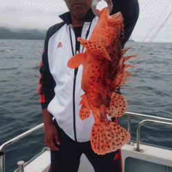 遊漁船ブルーウッズ 釣果