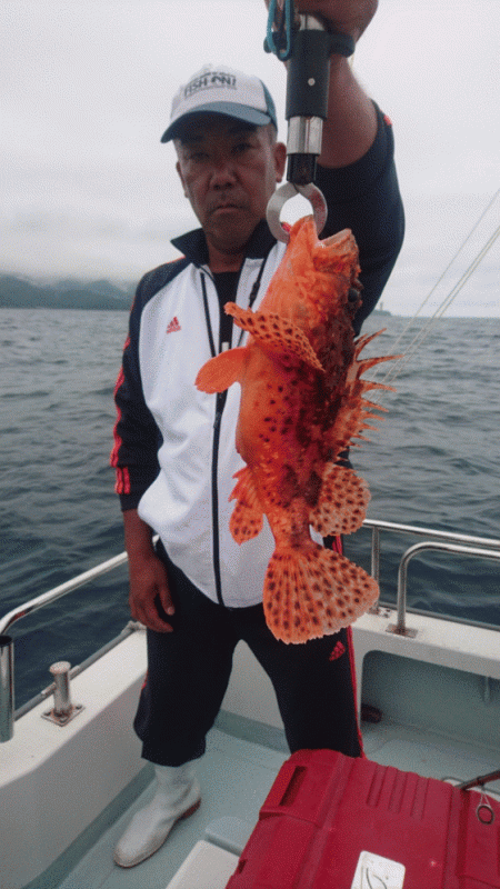 遊漁船ブルーウッズ 釣果