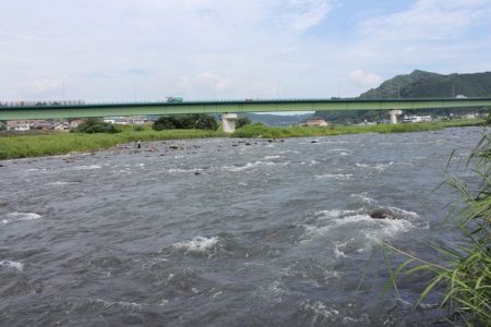 狩野川（狩野川漁業協同組合） 釣果