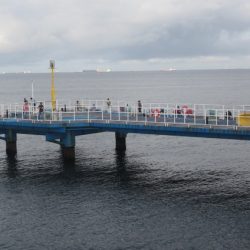 オリジナルメーカー海づり公園(市原市海づり施設) 釣果