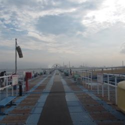 オリジナルメーカー海づり公園(市原市海づり施設) 釣果