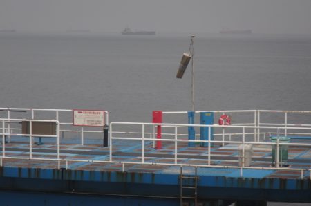 オリジナルメーカー海づり公園(市原市海づり施設) 釣果