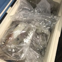 寿裕 （YOSHIHIRO） 釣果