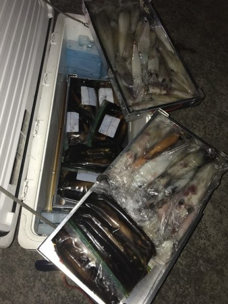 寿裕 （YOSHIHIRO） 釣果