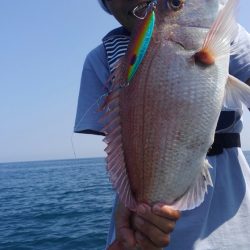 遊漁船 新鋭丸 釣果