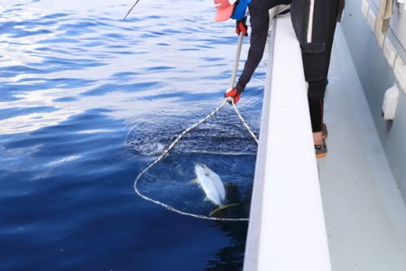 クルーズ 釣果