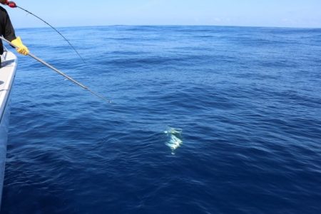 へいみつ丸 釣果