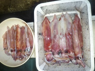松福丸 釣果