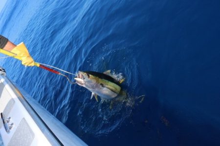 へいみつ丸 釣果