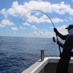 へいみつ丸 釣果