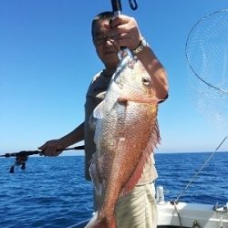 IDATEN（イダテン） 釣果