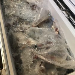 寿裕 （YOSHIHIRO） 釣果