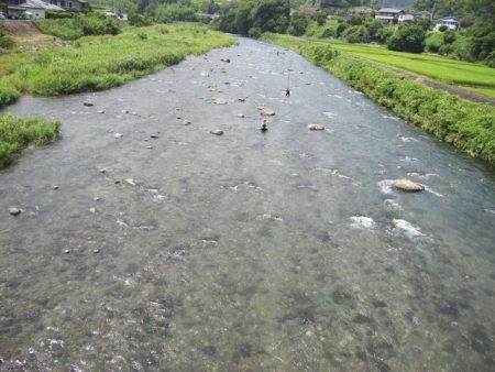狩野川(狩野川漁業協同組合) 釣果