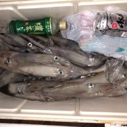 幸風（さちかぜ） 釣果