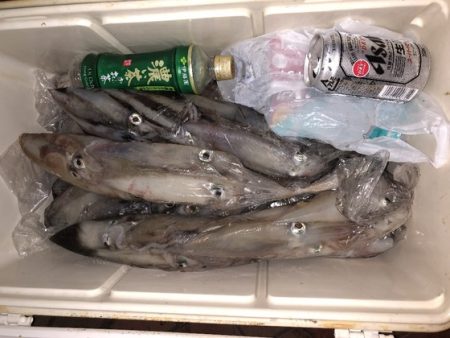 幸風（さちかぜ） 釣果