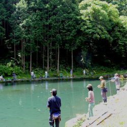 小菅トラウトガーデン 釣果
