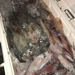 寿裕 （YOSHIHIRO） 釣果