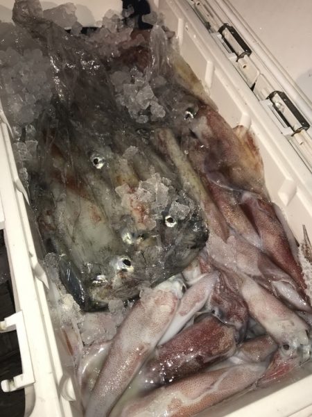 寿裕 （YOSHIHIRO） 釣果