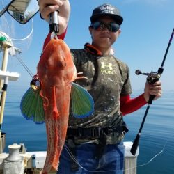 遊漁船　ニライカナイ 釣果