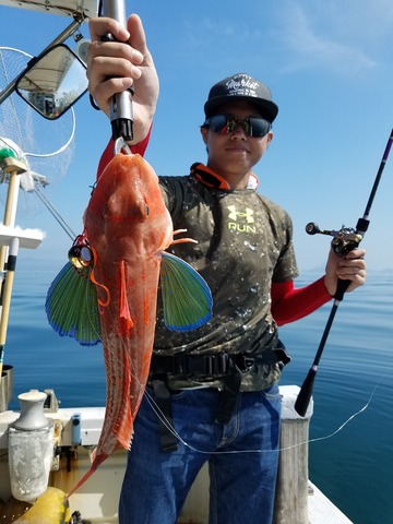 遊漁船　ニライカナイ 釣果