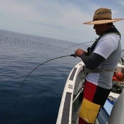 IDATEN（イダテン） 釣果