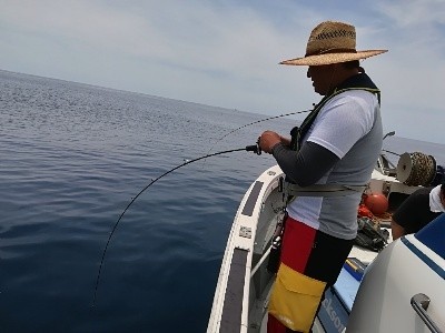 IDATEN（イダテン） 釣果