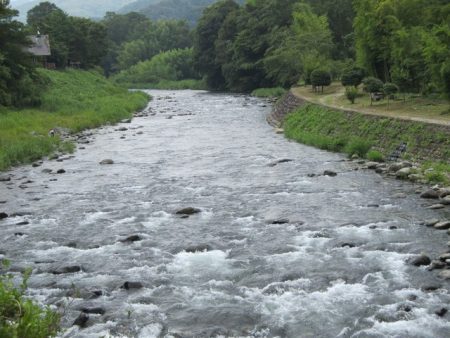 狩野川(狩野川漁業協同組合) 釣果